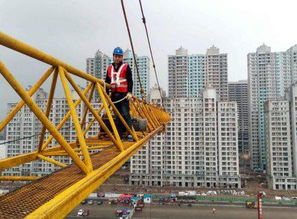 建設(shè)工程在保修范圍內(nèi)的具體內(nèi)容